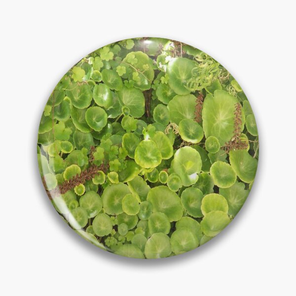 Artikelvorschau, Green Life - Grünes Leben entworfen und verkauft von Boscastle.