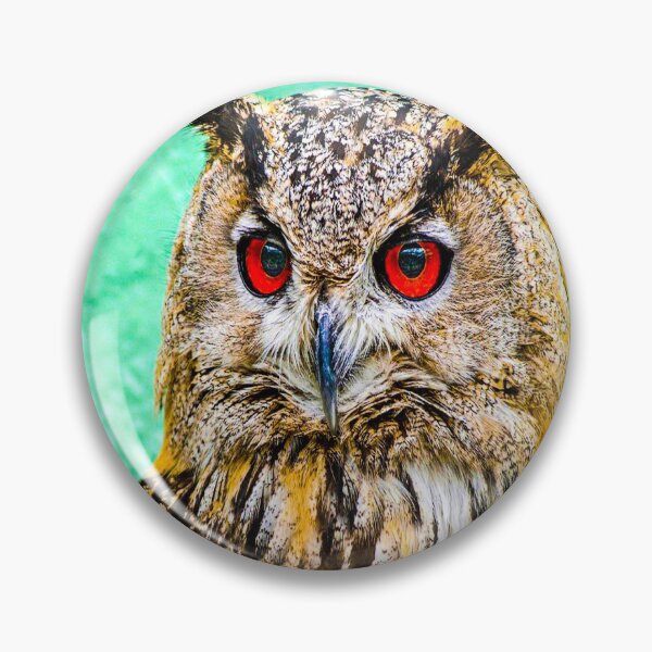 Item preview, fwc 1164 owl designed and sold by fred chiea.