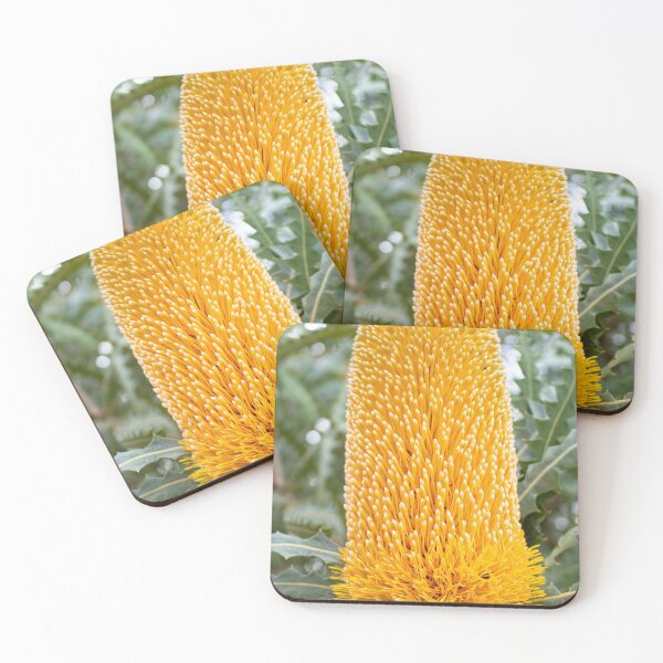 Item preview, Yellow Banksia designed and sold by Rebeccadalton.