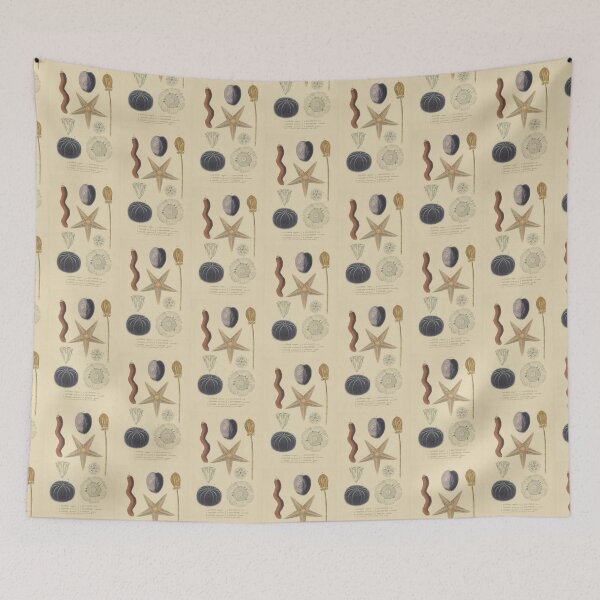 Item preview, Starfish And Sea Urchins designed and sold by BlueSpecsStudio.