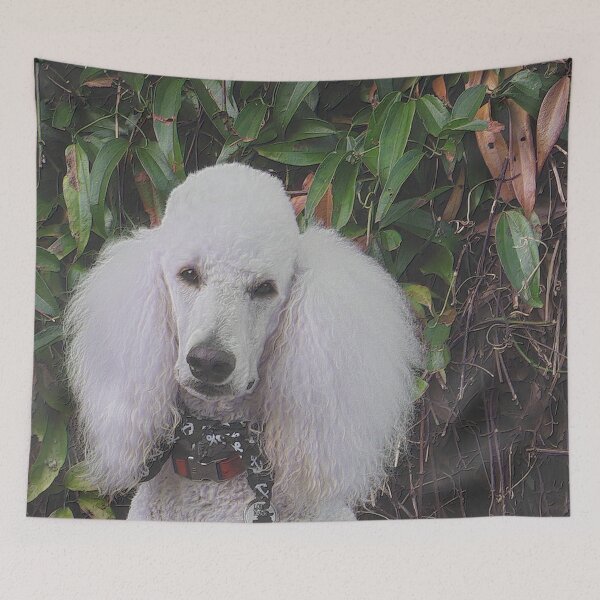 Item preview, Poodles have fine tastes designed and sold by ThePoodleandCo.