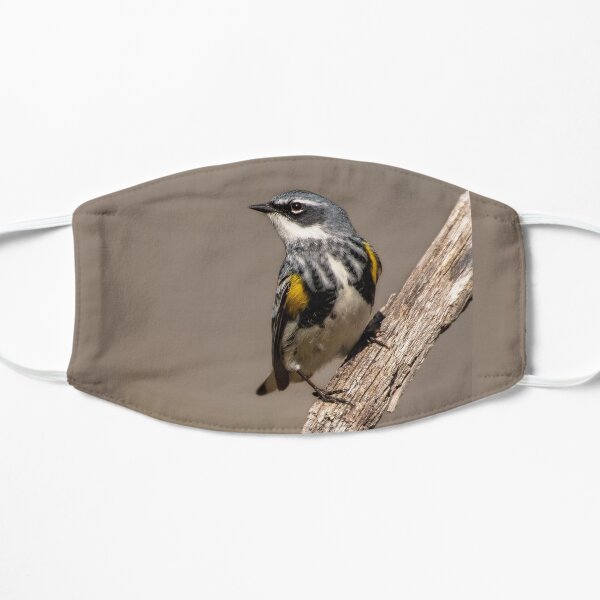 Myrtle Warbler Mask
