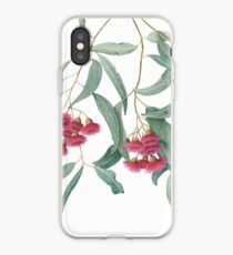 Eucalyptus leucoxylon - Yellow Box with Red Flowers iPhone-Hülle & Cover