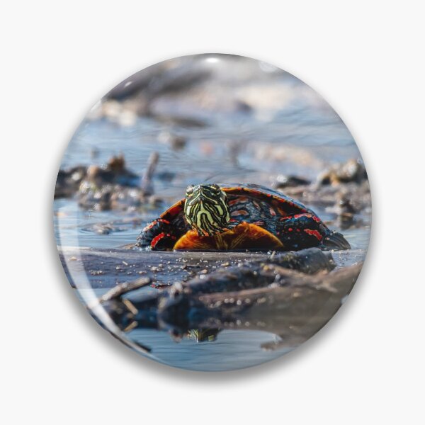 Item preview, Painted Turtle Emerging from Pond designed and sold by Jacob Nava.