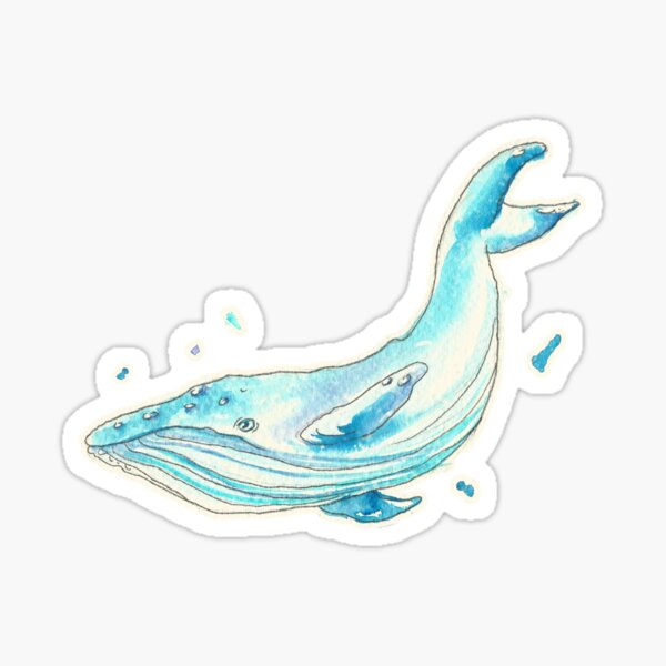 Sophie - Watercolor Whale Sticker