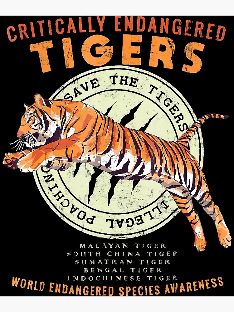 Tigers of the World Poster Print 