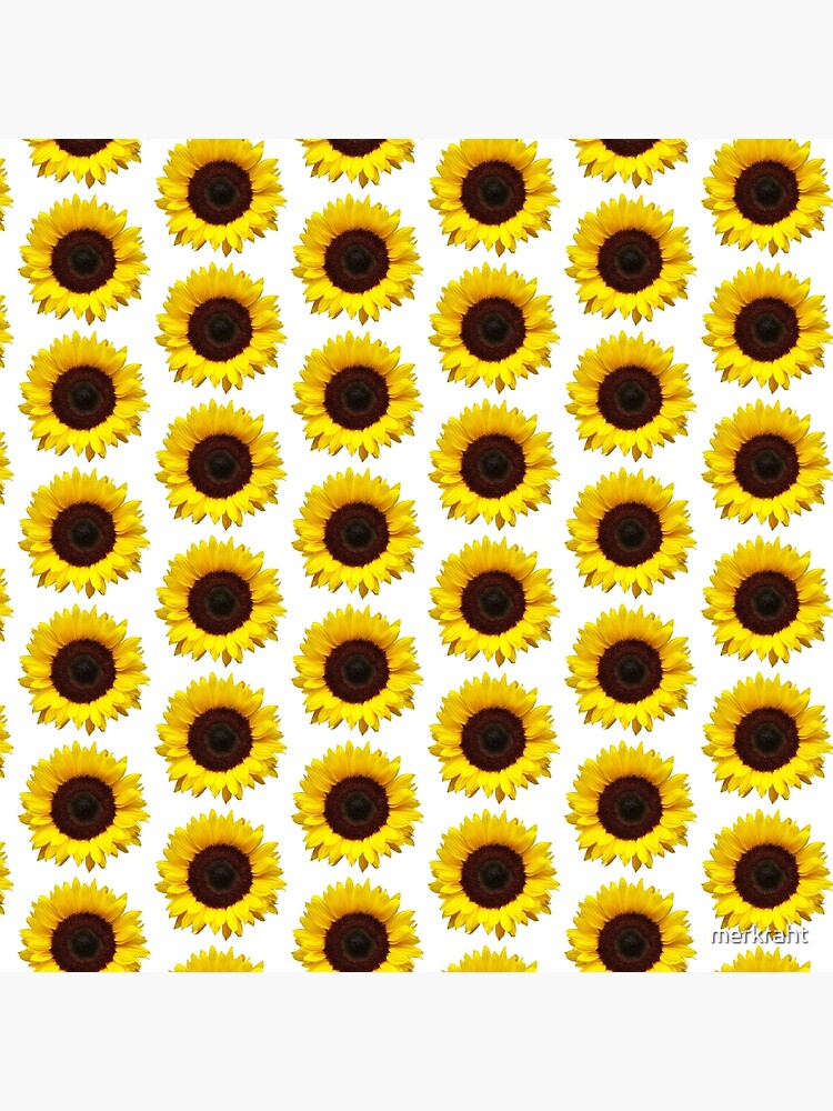 Sonnenblumen Geschenke - Schöne Sonnenblume Geschenkideen für positive  motivierende inspirierende Leben für Sonnenblumenliebhaber Dekor |  Galeriedruck