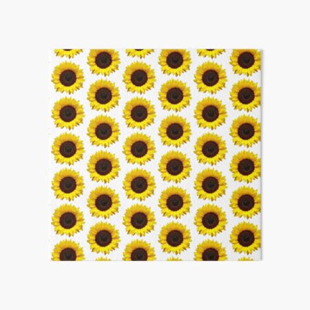 Lámina rígida «Regalos de girasoles: hermosas ideas de regalos de flores de  sol para una vida inspiradora de motivación positiva para los amantes de  girasol Decoración» de merkraht | Redbubble