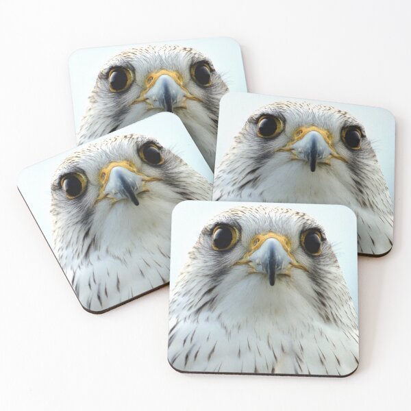 Item preview, Cross between a Gyrfalcon and a Sakerfalcon designed and sold by Bluelizzy.