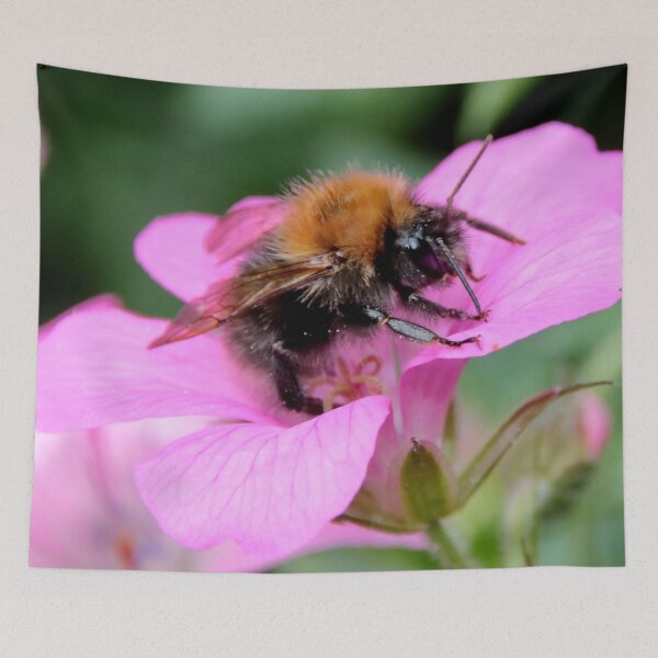 Aperçu de l'œuvre Bumble Bee créée et vendue par AnnDixon.