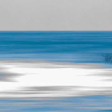 Artwork thumbnail, Oystercatcher chase by AYatesPhoto