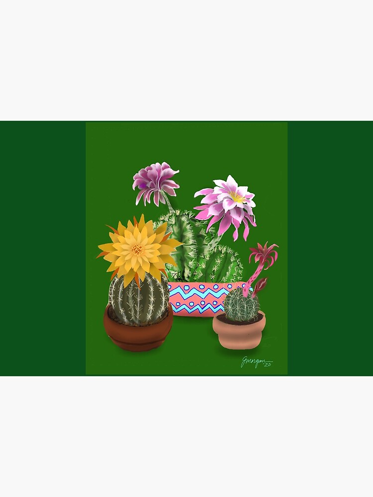 Cactus by Gerryjo