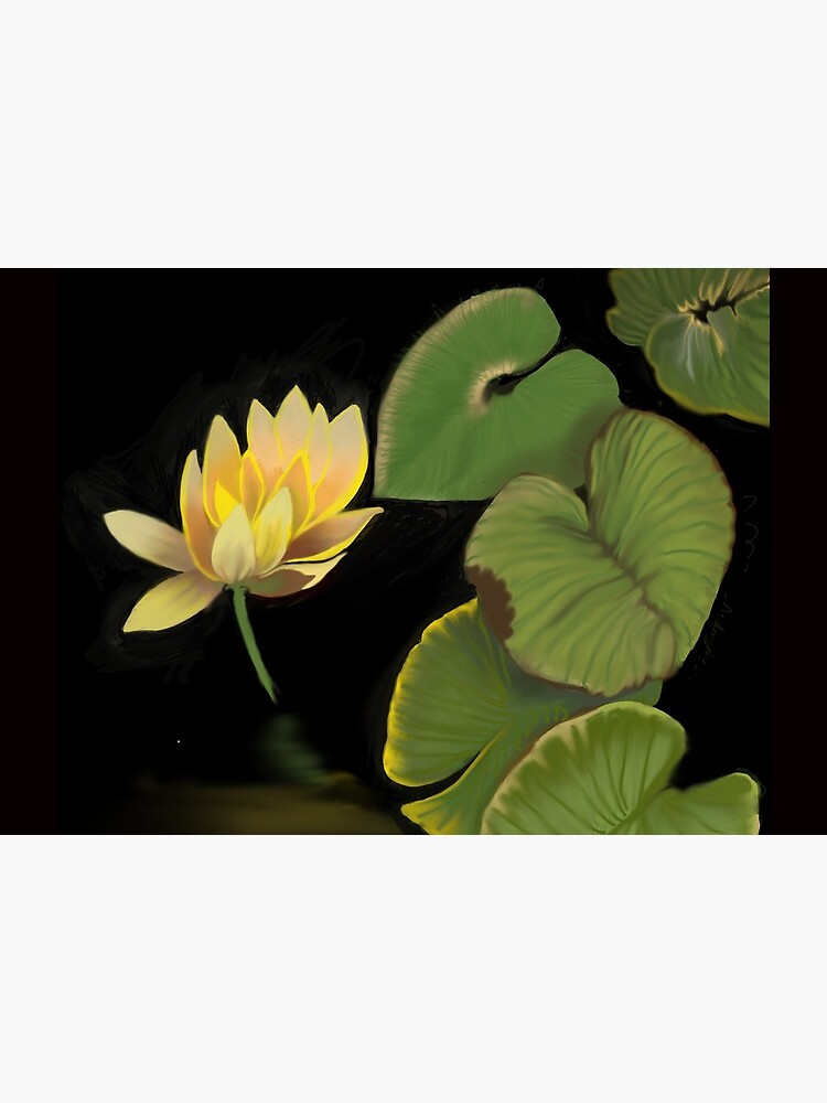 Lily by Gerryjo