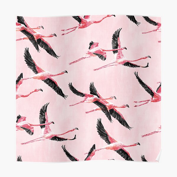 Flamingos in Flight Poster