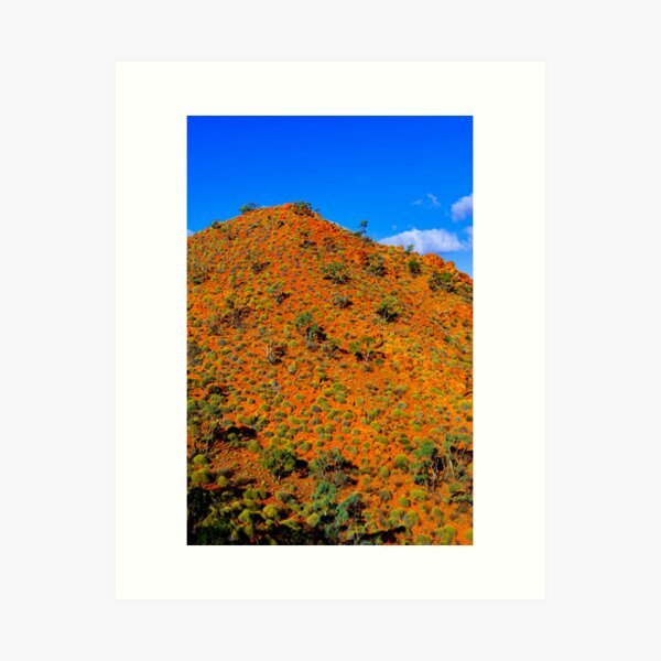 Item preview, Flinders Ranges, South Australia designed and sold by Amber  Williams.