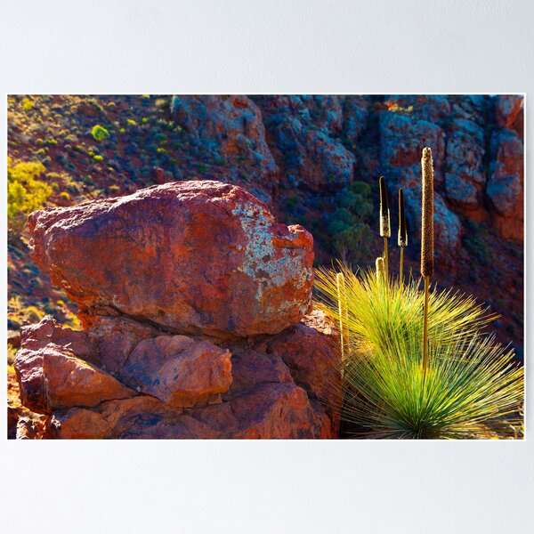 Item preview, Flinders Ranges, South Australia designed and sold by Amber  Williams.