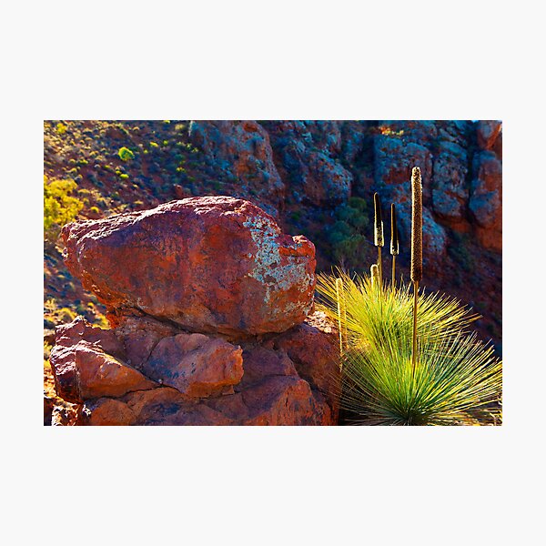 Item preview, Flinders Ranges, South Australia designed and sold by Amber  Williams.