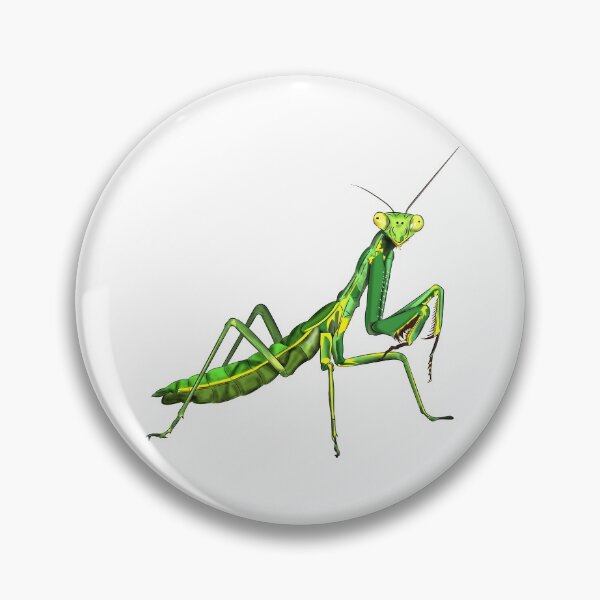 Item preview, Praying Mantis designed and sold by WorldEngine.