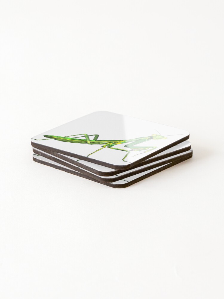 Thumbnail 4 of 5, Coasters (Set of 4), Praying Mantis designed and sold by WorldEngine.