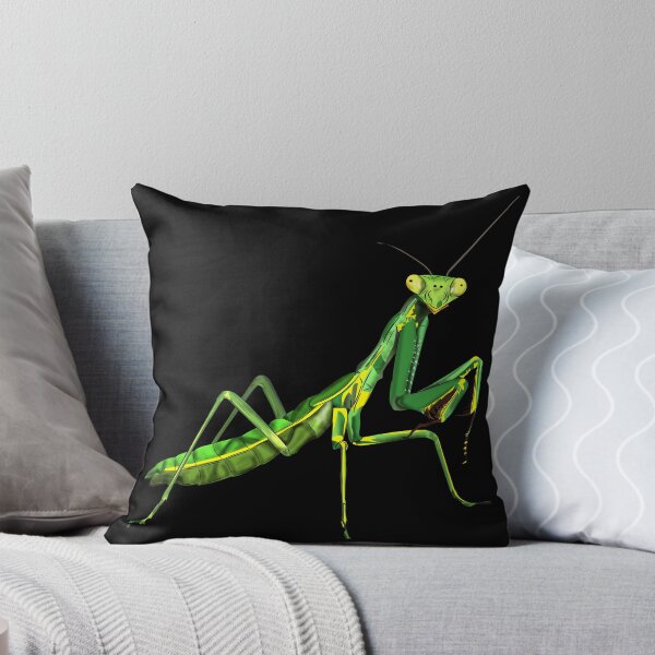 Item preview, Praying Mantis designed and sold by WorldEngine.