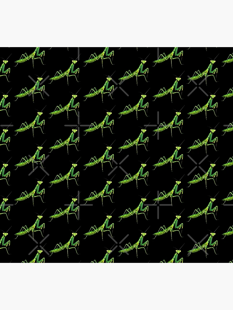 Thumbnail 5 of 5, Socks, Praying Mantis designed and sold by WorldEngine.