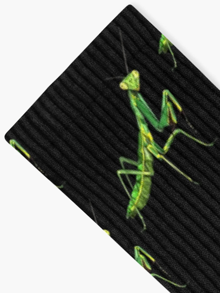 Thumbnail 2 of 5, Socks, Praying Mantis designed and sold by WorldEngine.