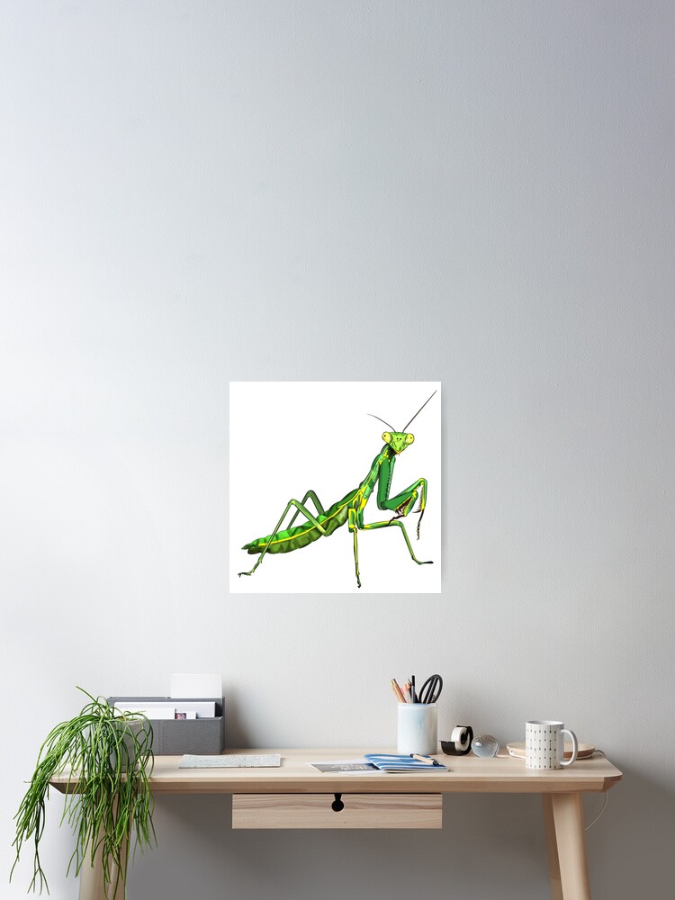 Thumbnail 2 of 3, Poster, Praying Mantis designed and sold by WorldEngine.