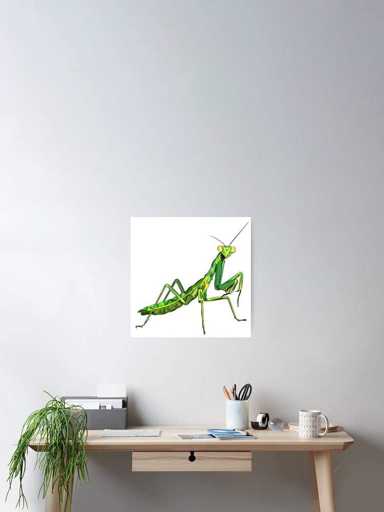 Thumbnail 2 of 3, Poster, Praying Mantis designed and sold by WorldEngine.