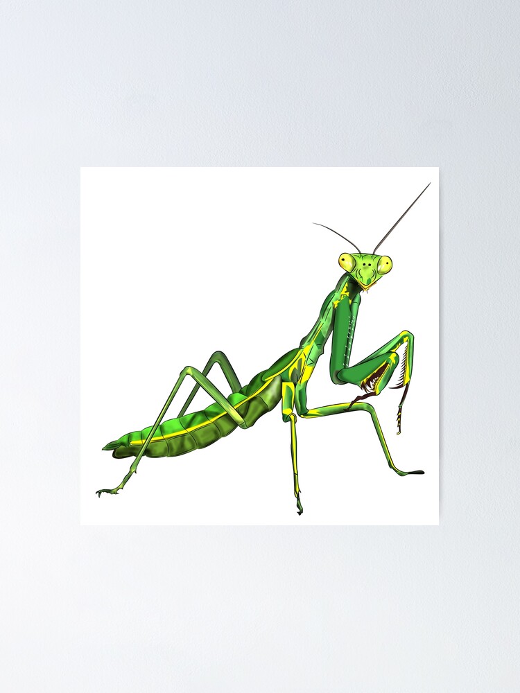 Thumbnail 1 of 3, Poster, Praying Mantis designed and sold by WorldEngine.