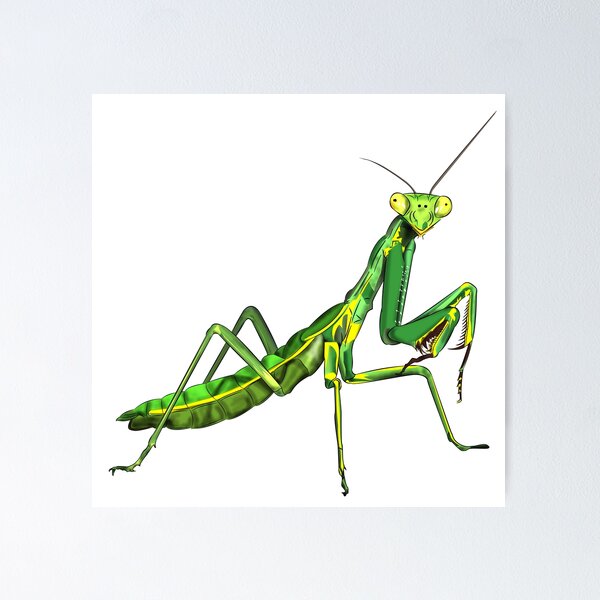 Item preview, Praying Mantis designed and sold by WorldEngine.