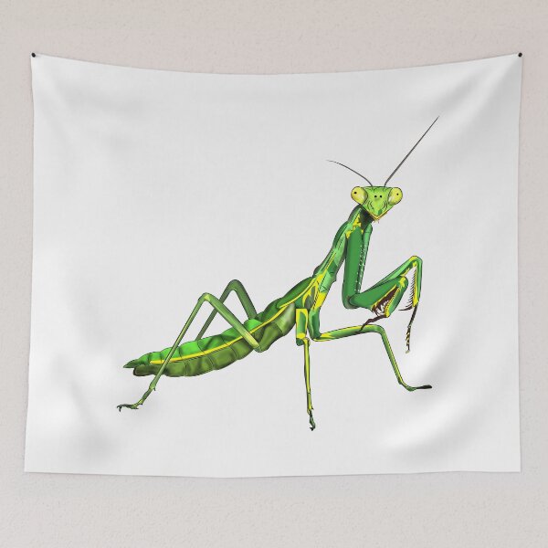Item preview, Praying Mantis designed and sold by WorldEngine.