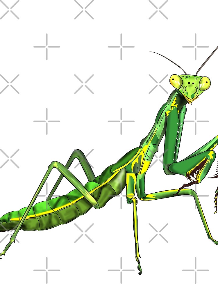 Thumbnail 3 of 3, Scarf, Praying Mantis designed and sold by WorldEngine.