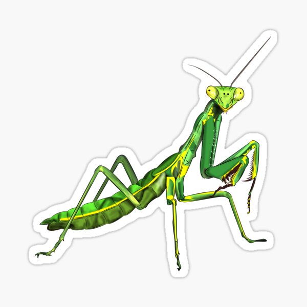 Item preview, Praying Mantis designed and sold by WorldEngine.