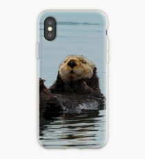 Alaskan Sea Otter iPhone Case