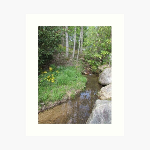 Buckeye Creek Art Print