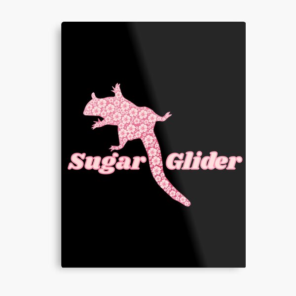 Sugar glider sugar glider pet sister gift Metal Print