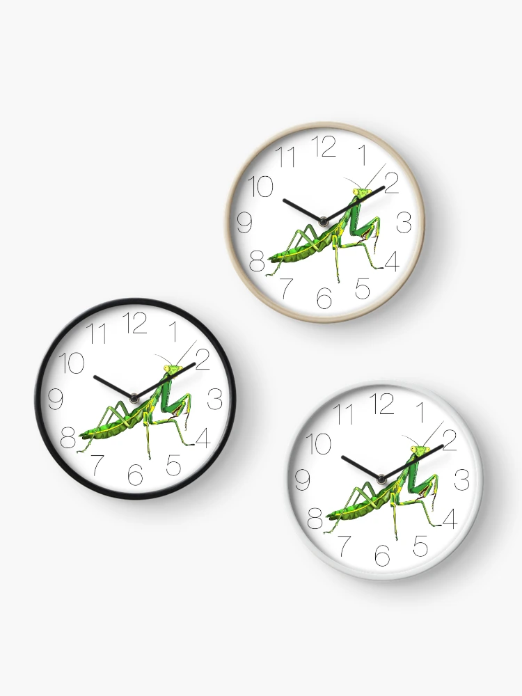 Thumbnail 3 of 4, Clock, Praying Mantis designed and sold by WorldEngine.