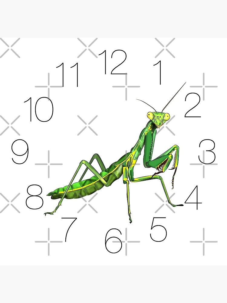 Thumbnail 4 of 4, Clock, Praying Mantis designed and sold by WorldEngine.
