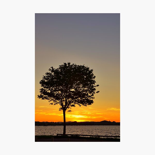 Item preview, Lone tree on the Exmouth Estuary designed and sold by Pete Hemington.