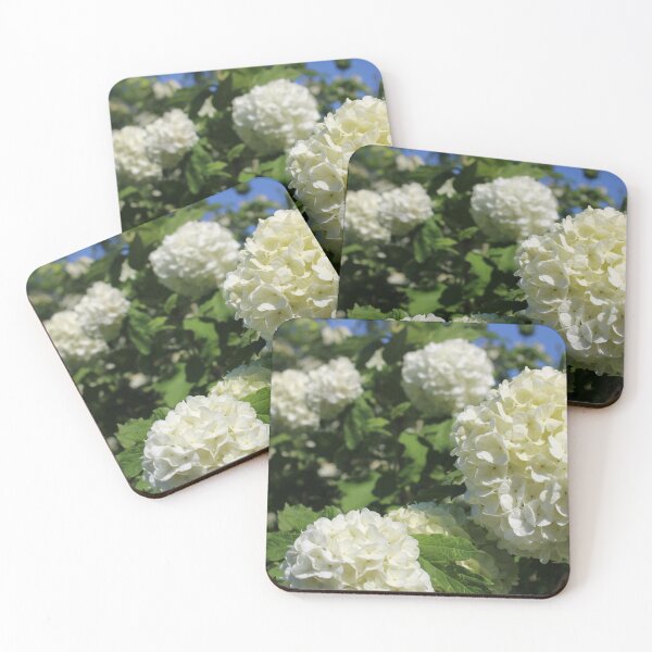 Item preview, Viburnum flowers photography designed and sold by SveaLeona.