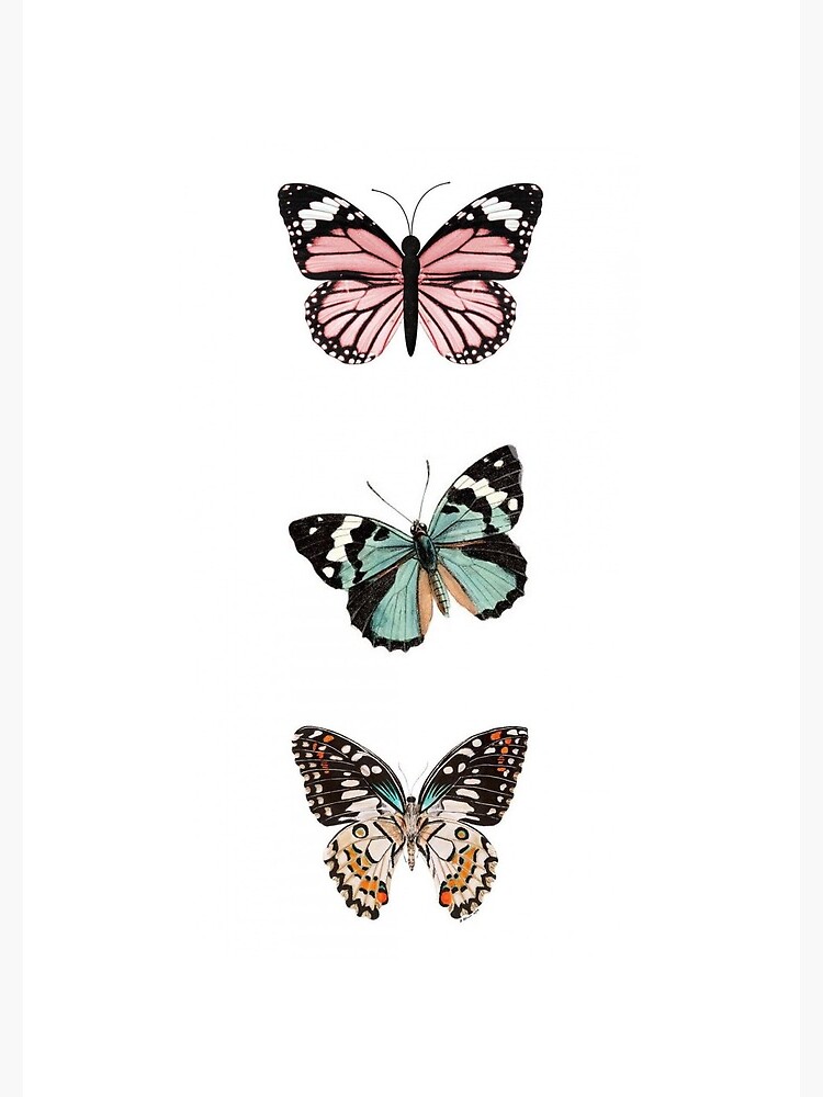 Butterfly wallpaper clearance vsco