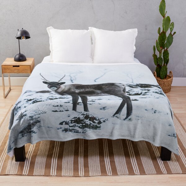 Item preview, Arctic Beauty - Landscape and Nature Photography designed and sold by ewkaphoto.