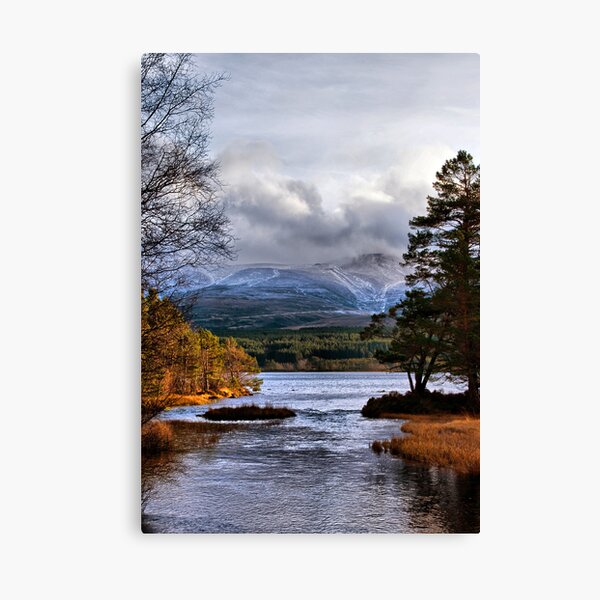 Winter Comes to Cairngorm Canvas Print