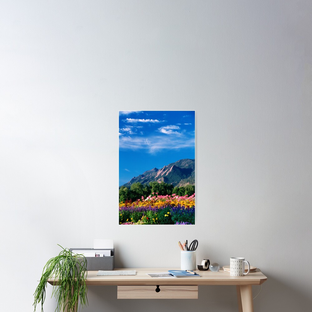 Flatirons and Flowers Poster