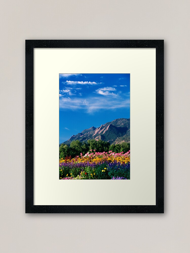 Alternate view of Flatirons and Flowers Framed Art Print