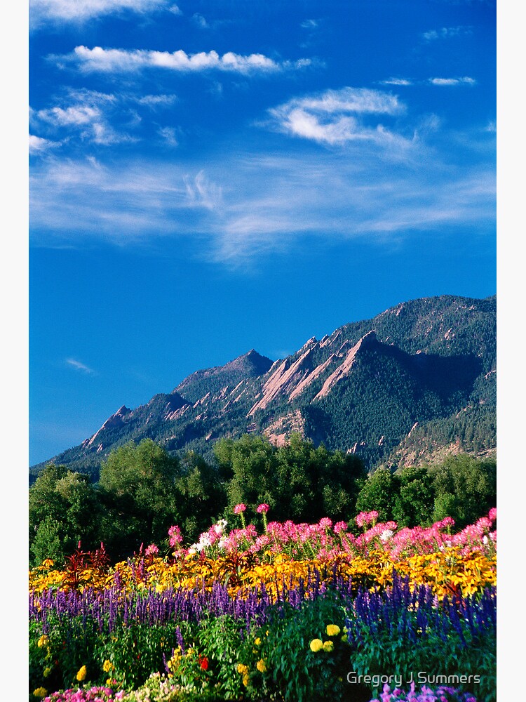 Flatirons and Flowers by nikongreg