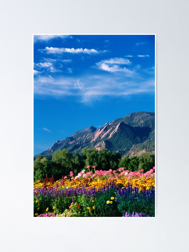 Alternate view of Flatirons and Flowers Poster