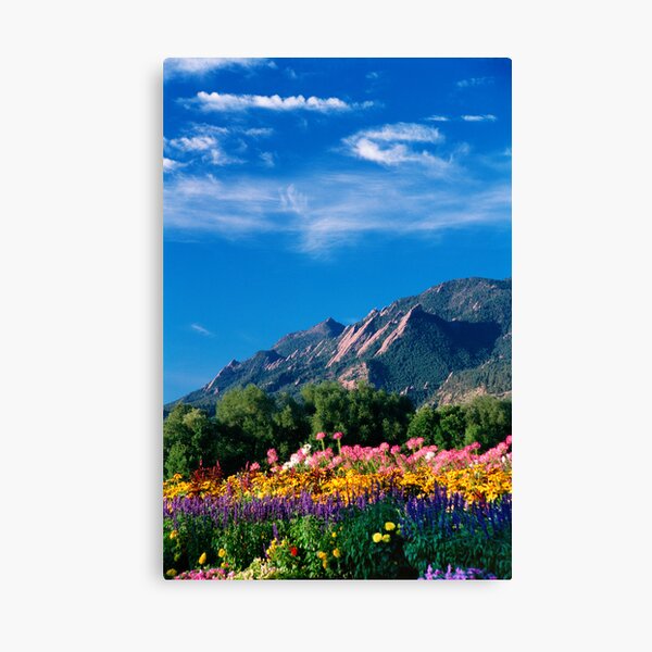 Flatirons and Flowers Canvas Print