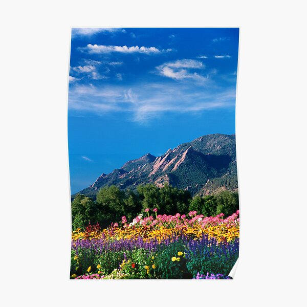 Flatirons and Flowers Poster