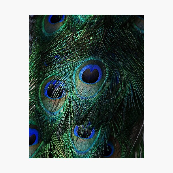 Untitled Photographic Print
